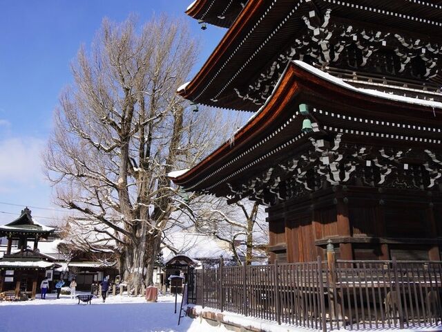 �Ή��R ��ˍ�����