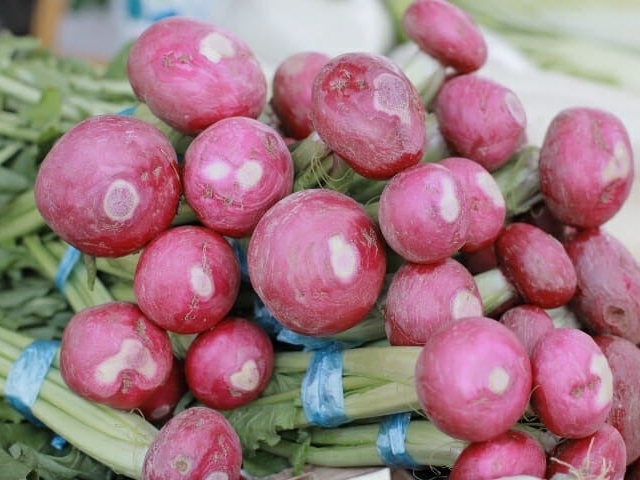 ��ˍ��R�{�쒩�s�̎ʐ^1