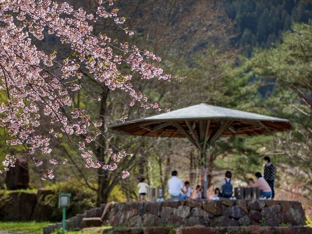 �u�̓��i�����j