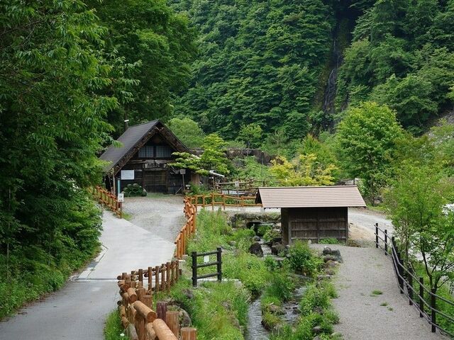 �V��������̎ʐ^1