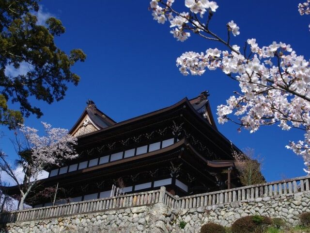 �֑P����(�@�x��)