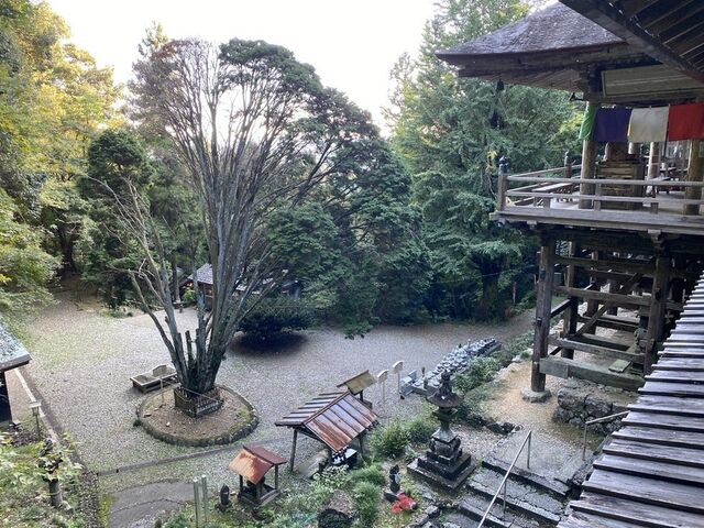 ���������@���V�ω�