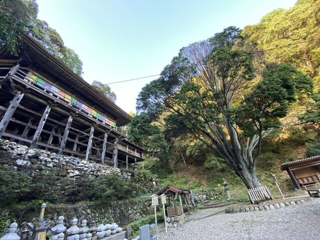 ���������@���V�ω�