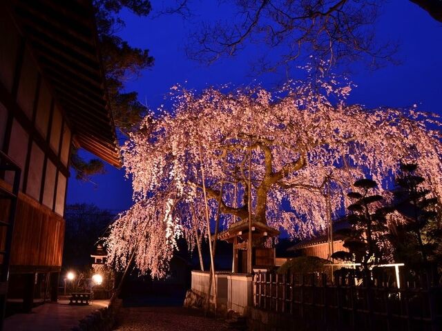 �N����t�̎ʐ^1