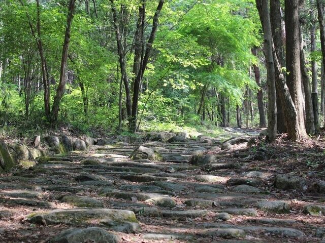 ���R���@���i���̎ʐ^1