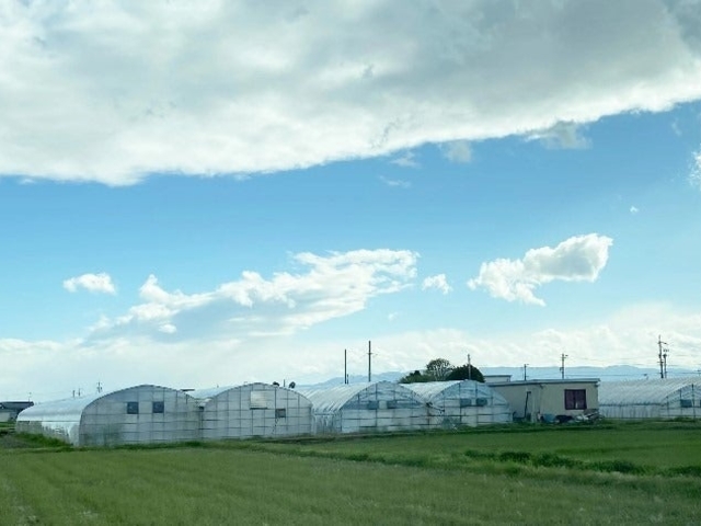 ���c�_���i���j