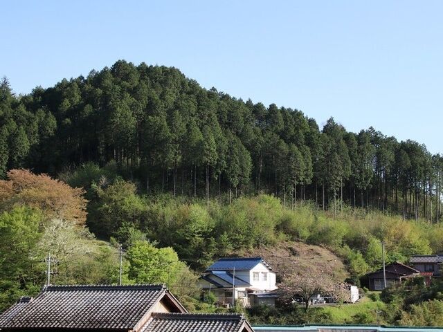 ���[�R�Ԃ̎ʐ^1