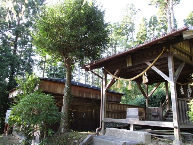 ���q���G���w�⏊�ƓV�_�_�Ђ̎ʐ^1