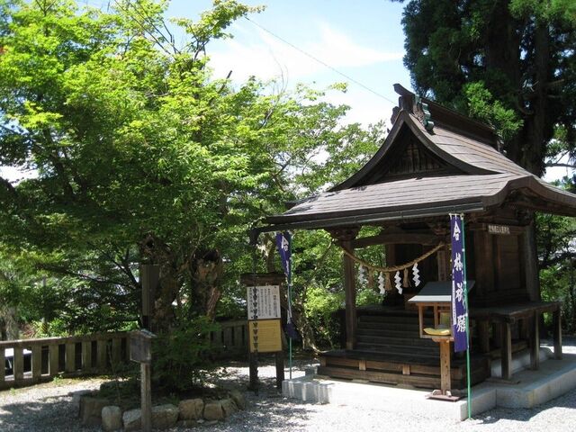 ������ �����q�_��