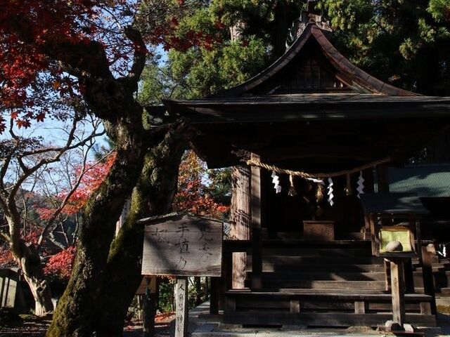 ������ �����q�_��