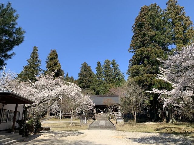 ������ �����q�_��