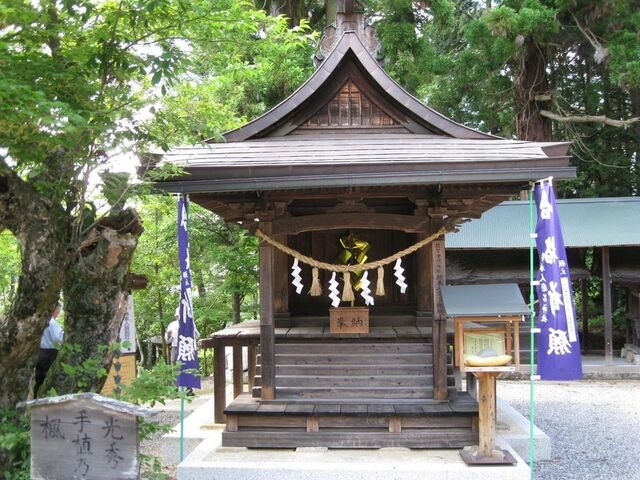 ������ �����q�_��