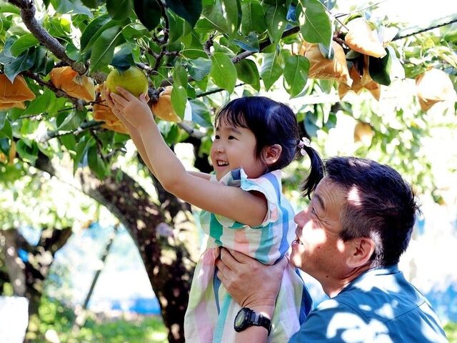 �R�V�㗜���i�R�V��ό��ʎ����j�̎ʐ^1