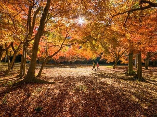 ���݂��Ղ�̎ʐ^1