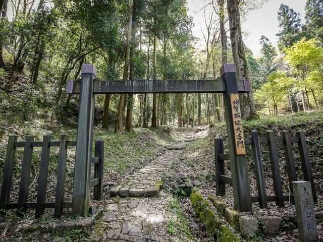 ���q��Ղ̎ʐ^1