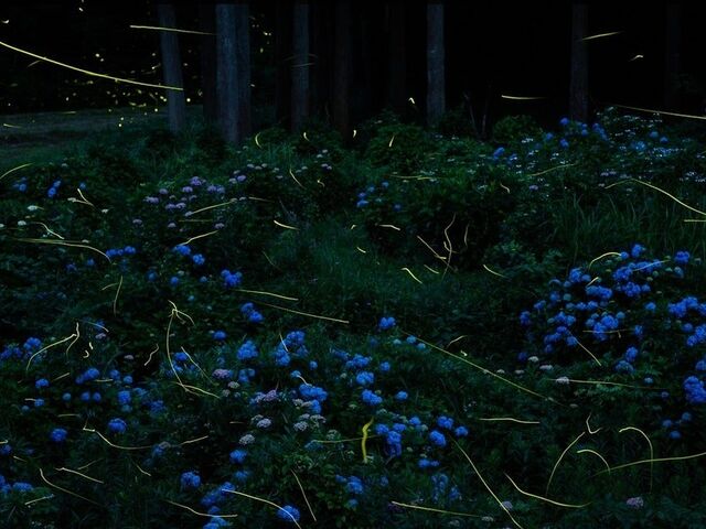 �݂�܂̐X�z�^���̎ʐ^1