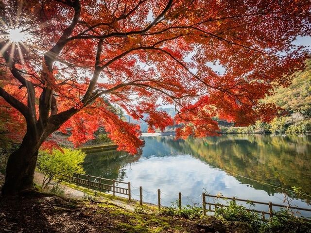 �Ɏ��ǌΔȂ̍g�t�̎ʐ^1