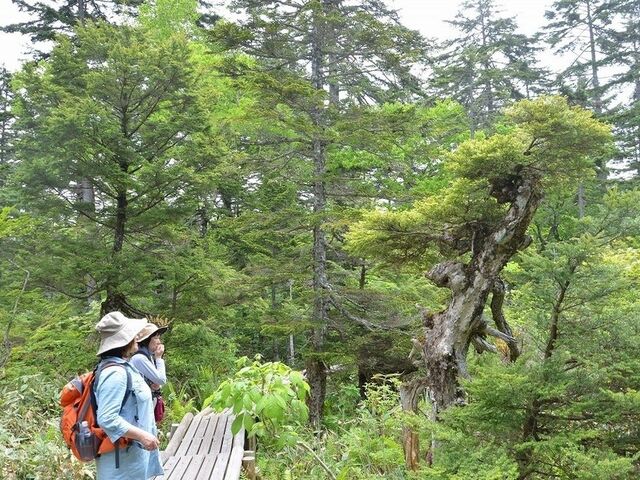 �[�������̎ʐ^1