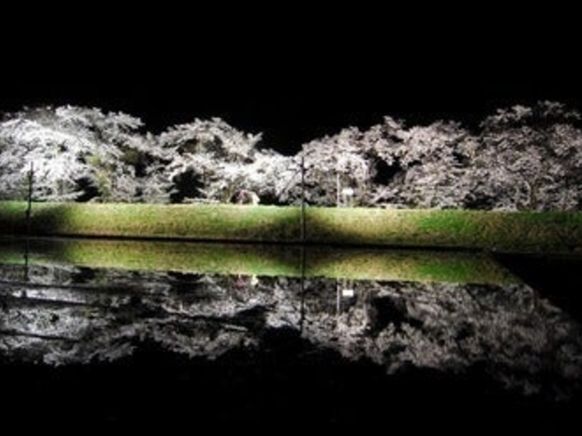 �䏊���̎ʐ^1