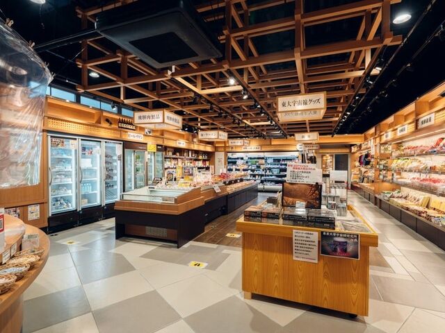 ���̉w���i�X�J�C�j�h�[���_��