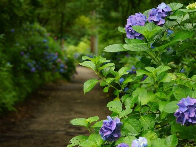 �j���� ���O���̎ʐ^1