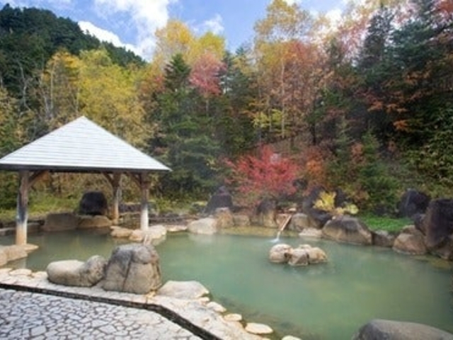 ���͉���@�s�c�I�V���C