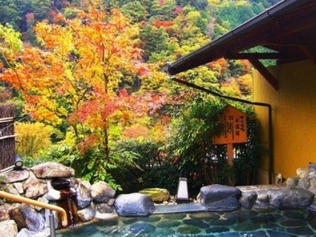 ���P���̎ʐ^1