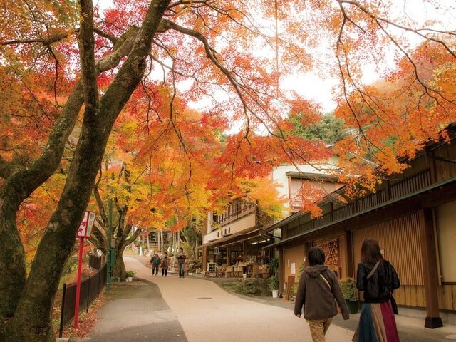 �{�V�����̍g�t�̎ʐ^1