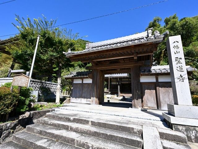 �e�a���l�䂩��̔��[�̔~�E���@���̎ʐ^1