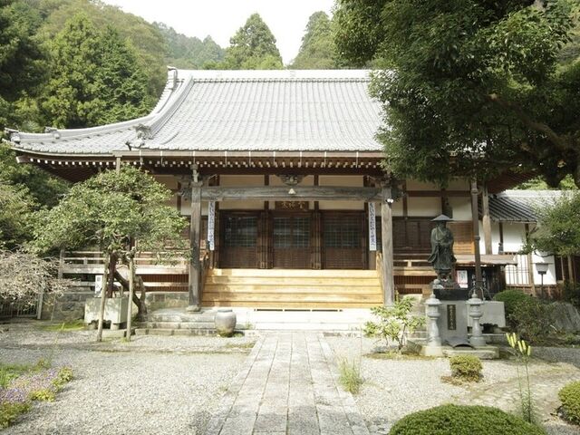 �e�a���l�䂩��̔��[�̔~�E���@��