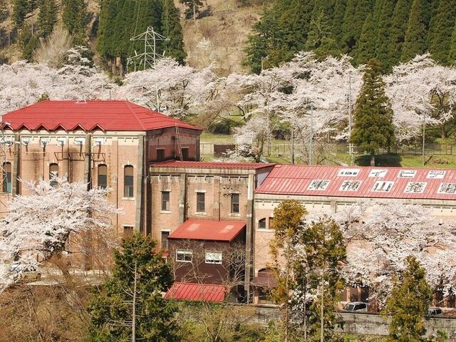 �C�r�f�������R���d���̍��̎ʐ^1