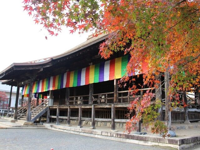 �厛�R�苻���̎ʐ^1