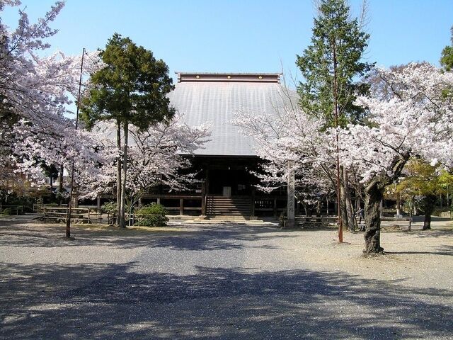 �厛�R�苻��