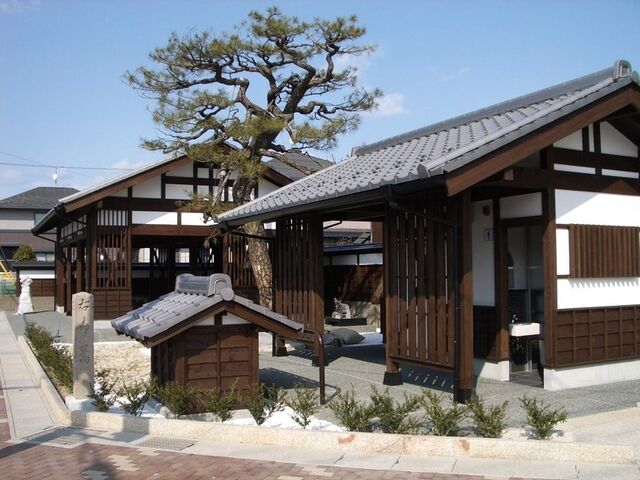 ��{�������̎ʐ^1