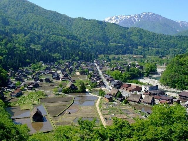 �u��R�V��t�v �W�]��̎ʐ^1