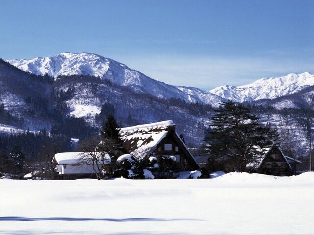 ���w��d�v�������@�a�c�Ƃ̎ʐ^1