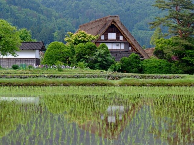 ���w��d�v�������@�a�c��