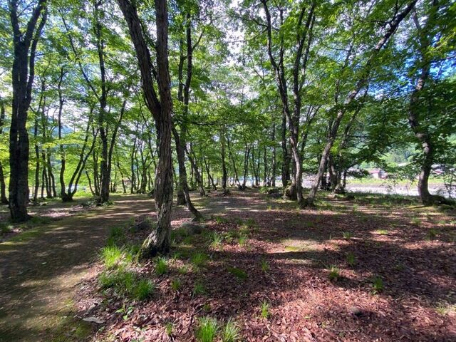 ���싽 �Ђ点����L�����v�T�C�g