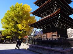 飛騨国分寺の大イチョウの写真1
