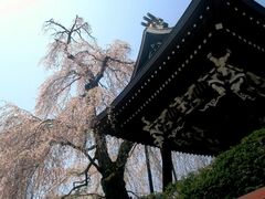 ��@���̈���ɍ��̎ʐ^1