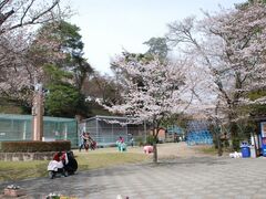 小倉公園(小倉山城跡)の写真1