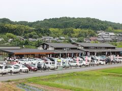 �_�Y�������������Ȃ������Q�̎ʐ^1