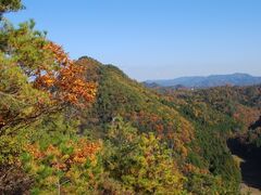 ���N�̐X�̍g�t�̎ʐ^1