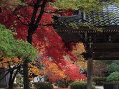 ���᎛�̍g�t�̎ʐ^1