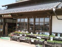 ���R�����@��s��̎ʐ^1