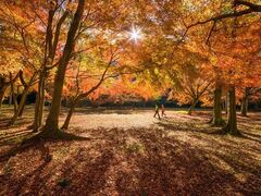 ���݂��Ղ�̎ʐ^1