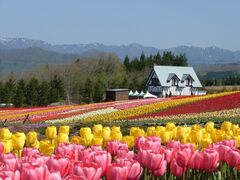 �q�̗̂��̎ʐ^1