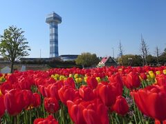 �ؑ]�O������Z���^�[�̎ʐ^1