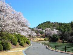 山楠公園の写真1