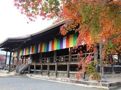 �厛�R�苻���̎ʐ^1